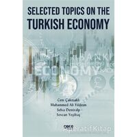 Selected Topics on The Turkish Economy - Selva Demiralp - Gece Kitaplığı