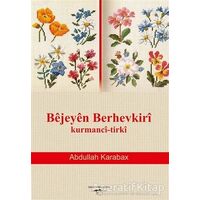 Bejeyen Berhevkiri Kurmanci-Tirki - Abdullah Karabax - Sokak Kitapları Yayınları