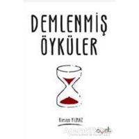 Demlenmiş Öyküler - Birsen Yılmaz - Ayzıt Yayınları