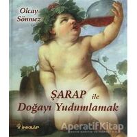 Şarap ile Doğayı Yudumlamak - Olcay Sönmez - İnkılap Kitabevi