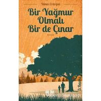 Bir Yağmur Olmalı Bir de Çınar - Yılmaz Erdoğan - Akıl Fikir Yayınları