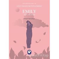 Emily’nin Arayışı - Rüzgarın Kızı Emily 3 - Lucy Maud Montgomery - Cem Yayınevi