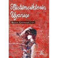 Küstümcüklerin Uyanışı - Benen Çetindağ - Potkal Kitap Yayınları