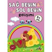 Sağ Beyin - Sol Beyin Gelişimi +5 Yaş - Kolektif - Beyaz Panda Yayınları