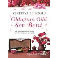 Olduğum Gibi Sev Beni - Zekeriya Efiloğlu - Hayat Yayınları