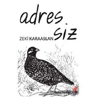 Adressiz - Zeki Karaaslan - Klaros Yayınları