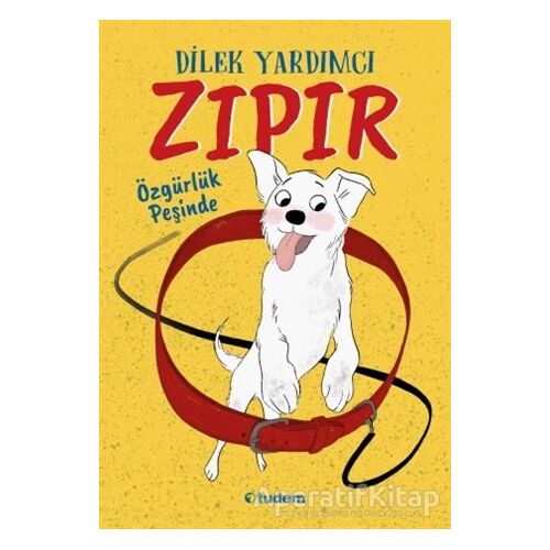 Zıpır Özgürlük Peşinde - Dilek Yardımcı - Tudem Yayınları