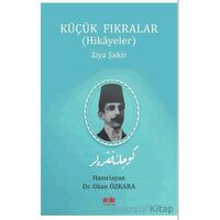 Küçük Fıkralar - Ziya Şakir - Akıl Fikir Yayınları